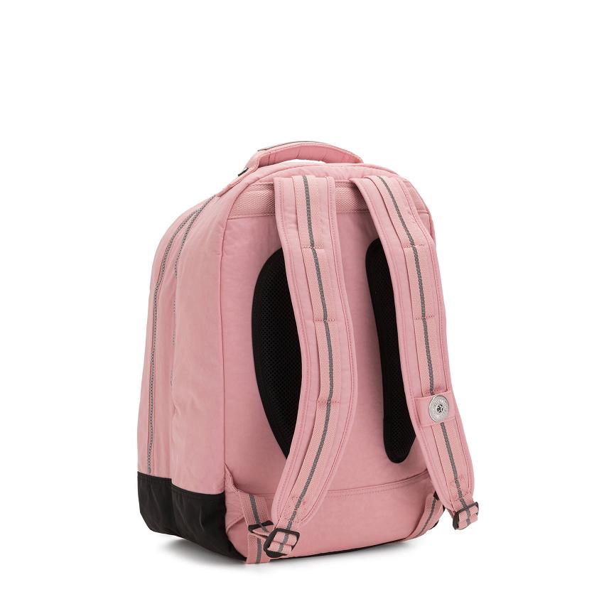 Kipling Class Room Laptop Backpacks Rose | UKKi1310S