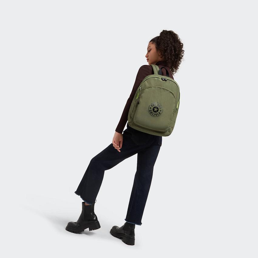 Kipling Curtis Large Laptop Backpacks Olive | UKKi1315R