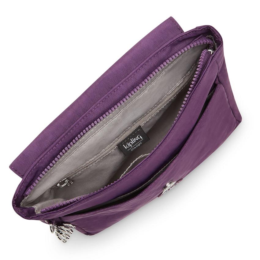 Kipling Dannie Fashion Backpacks Purple | UKKi1243W