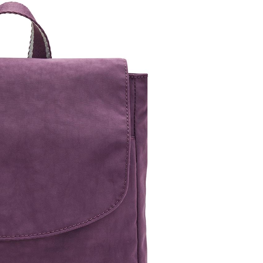 Kipling Dannie Fashion Backpacks Purple | UKKi1243W
