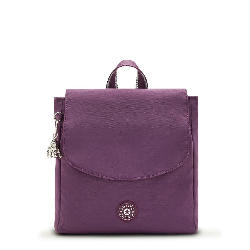 Kipling Dannie Fashion Backpacks Purple | UKKi1243W