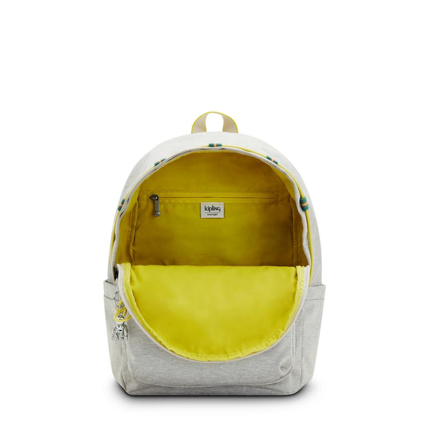 Kipling Delia Fashion Backpacks Grey | UKKi1251A