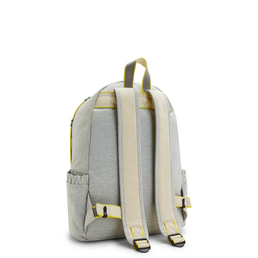 Kipling Delia Fashion Backpacks Grey | UKKi1251A